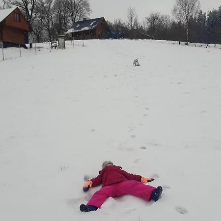 Przytulne na Poddaszu Jelenia Góra Zewnętrze zdjęcie