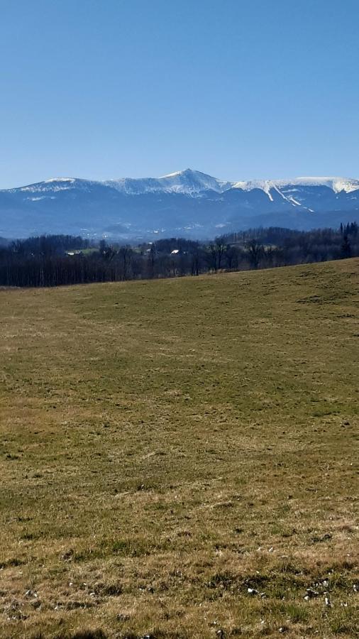Przytulne na Poddaszu Jelenia Góra Zewnętrze zdjęcie